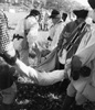 Removing the Deceased