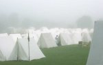 Foggy Morning #2