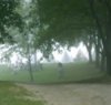 Foggy Morning #1